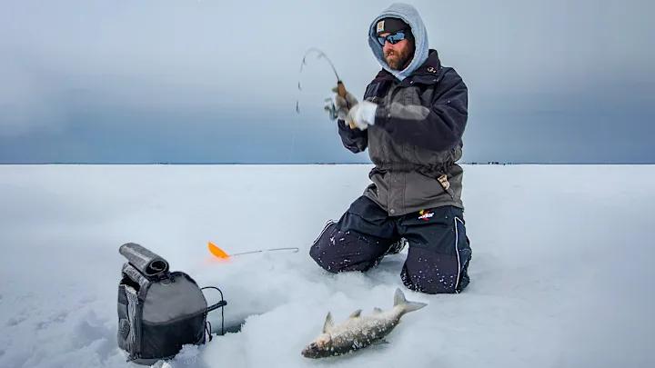 Cómo encontrar un lugar prometedor sin una sonda de pesca